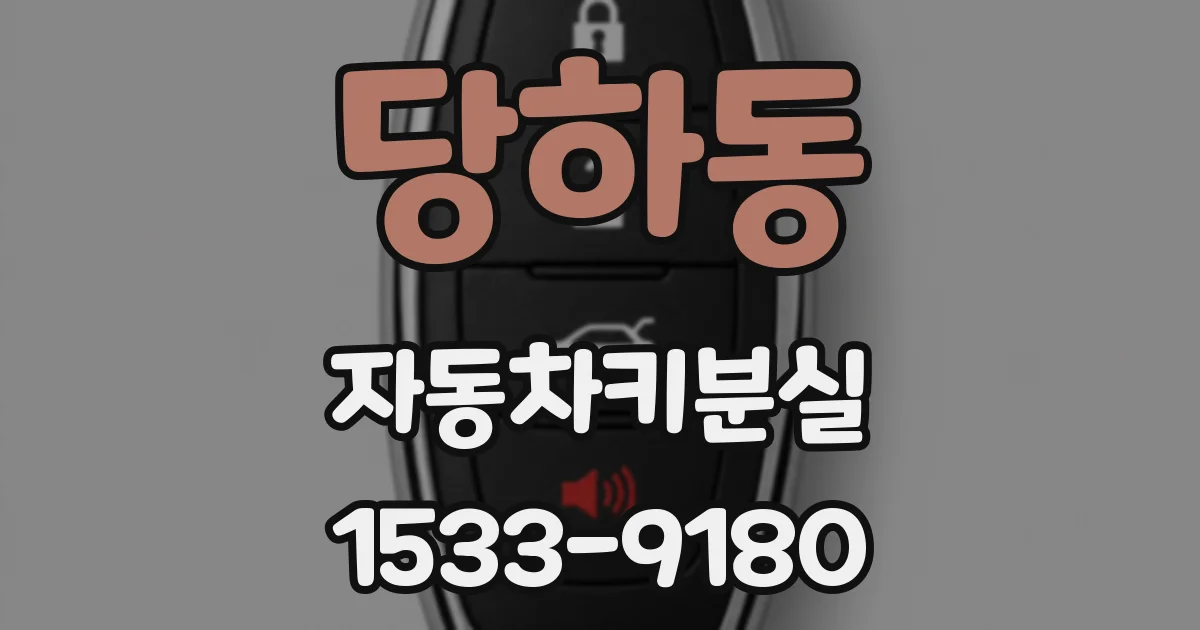 당하동 자동차키분실