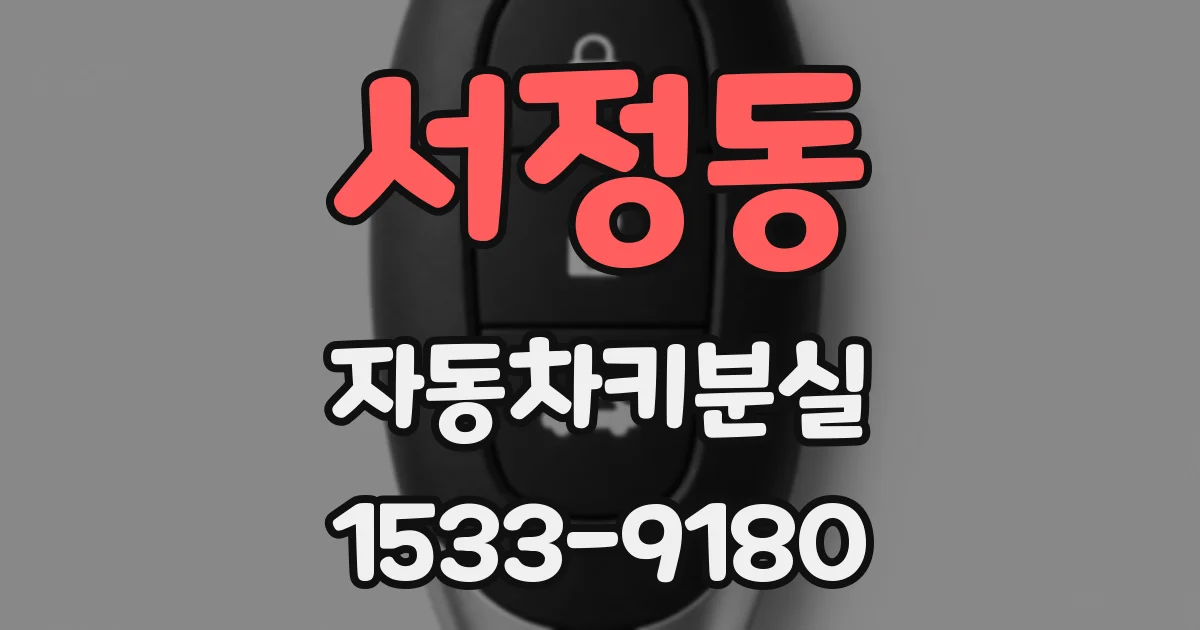 서정동 자동차키분실