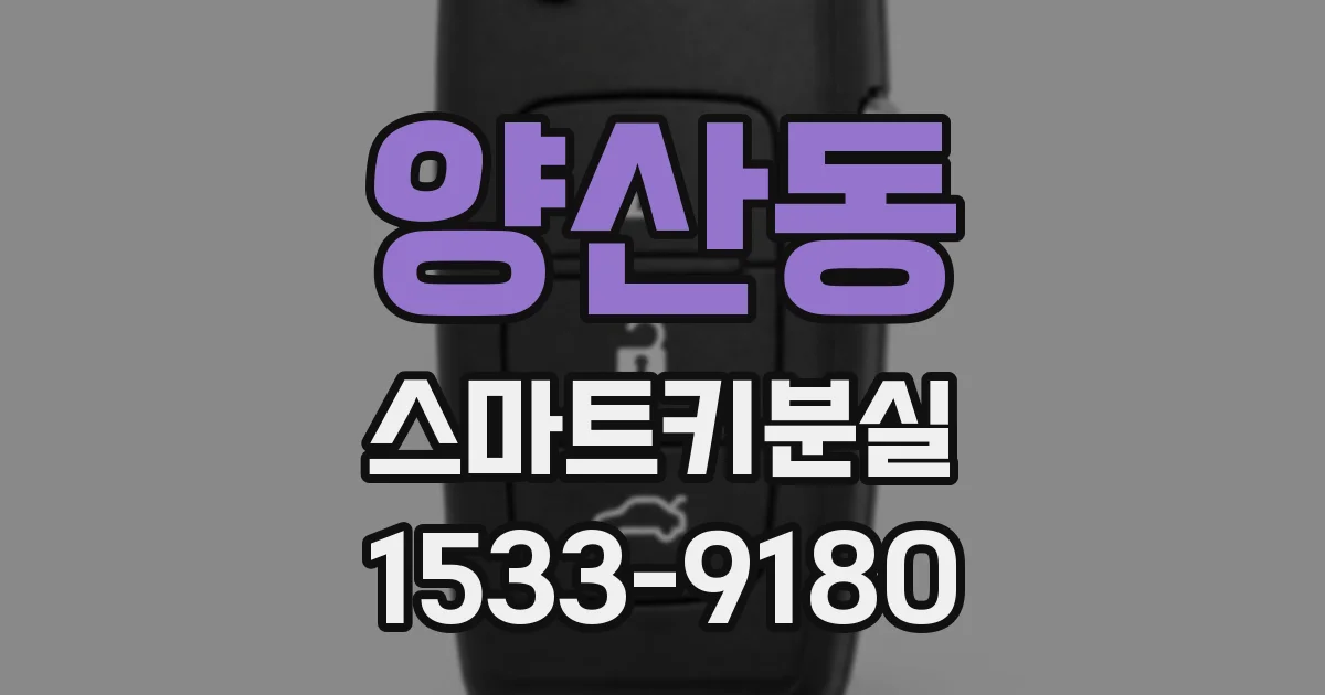 양산동 스마트키분실