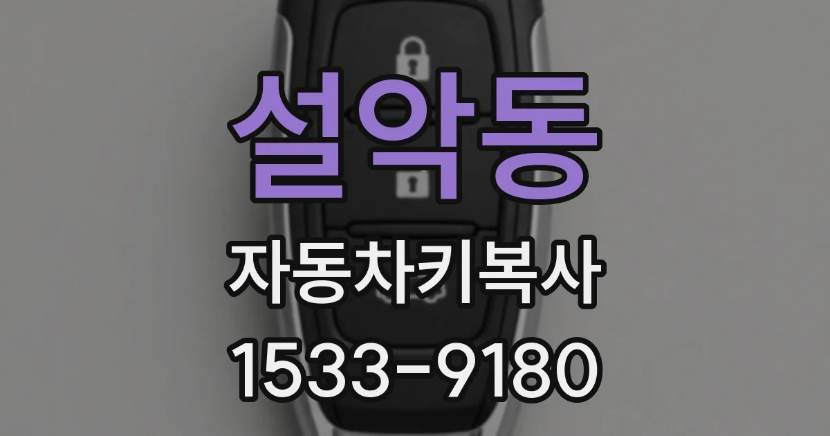 설악동 자동차키복사