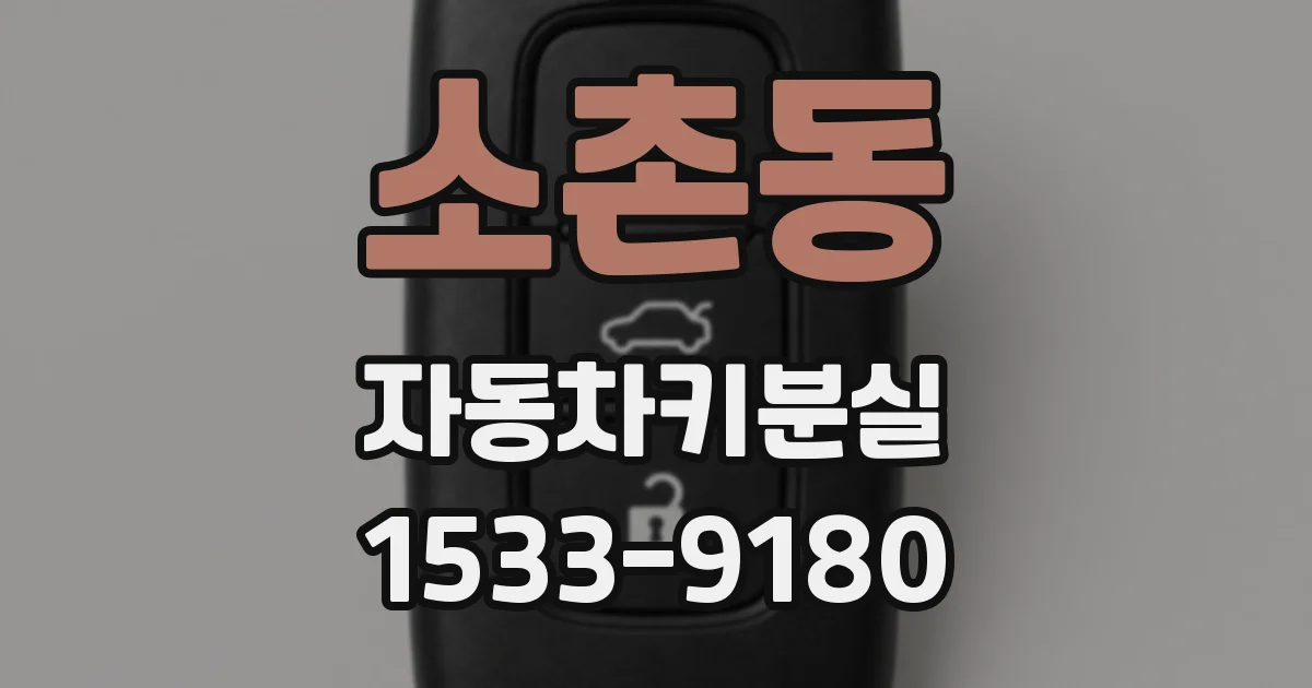 소촌동 자동차키분실
