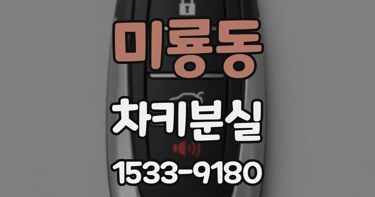 미룡동 차키분실