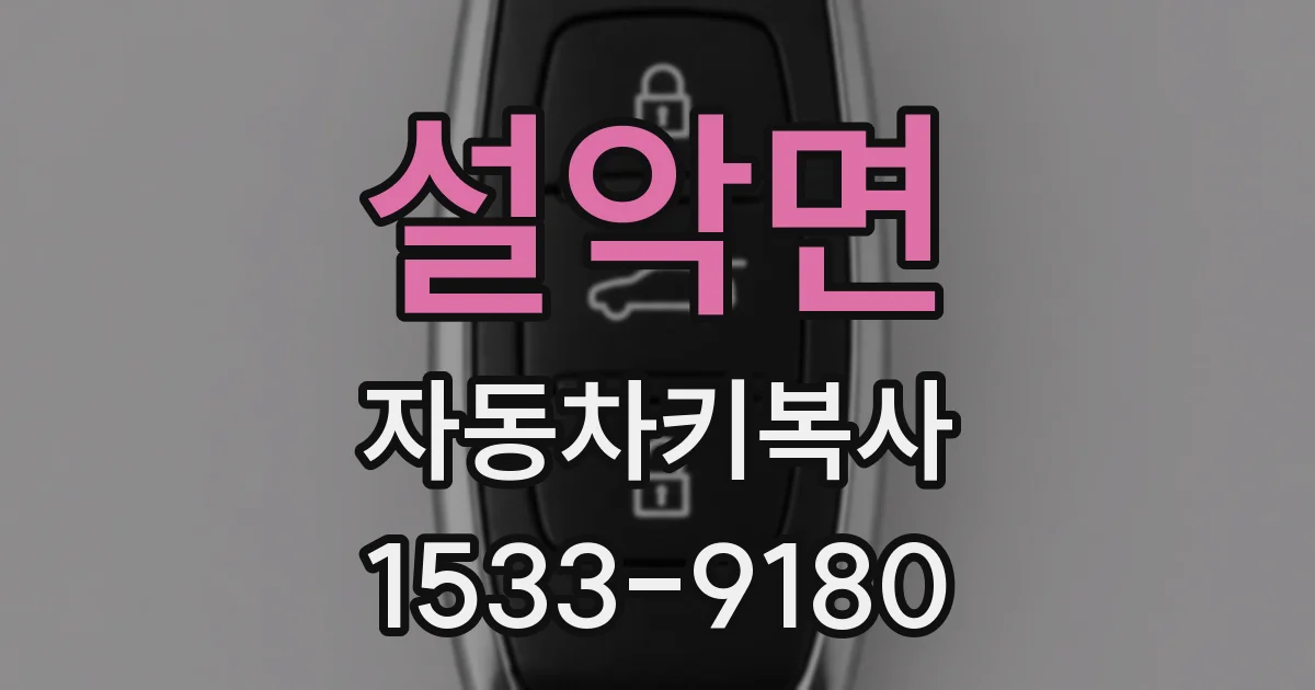 설악면 자동차키복사