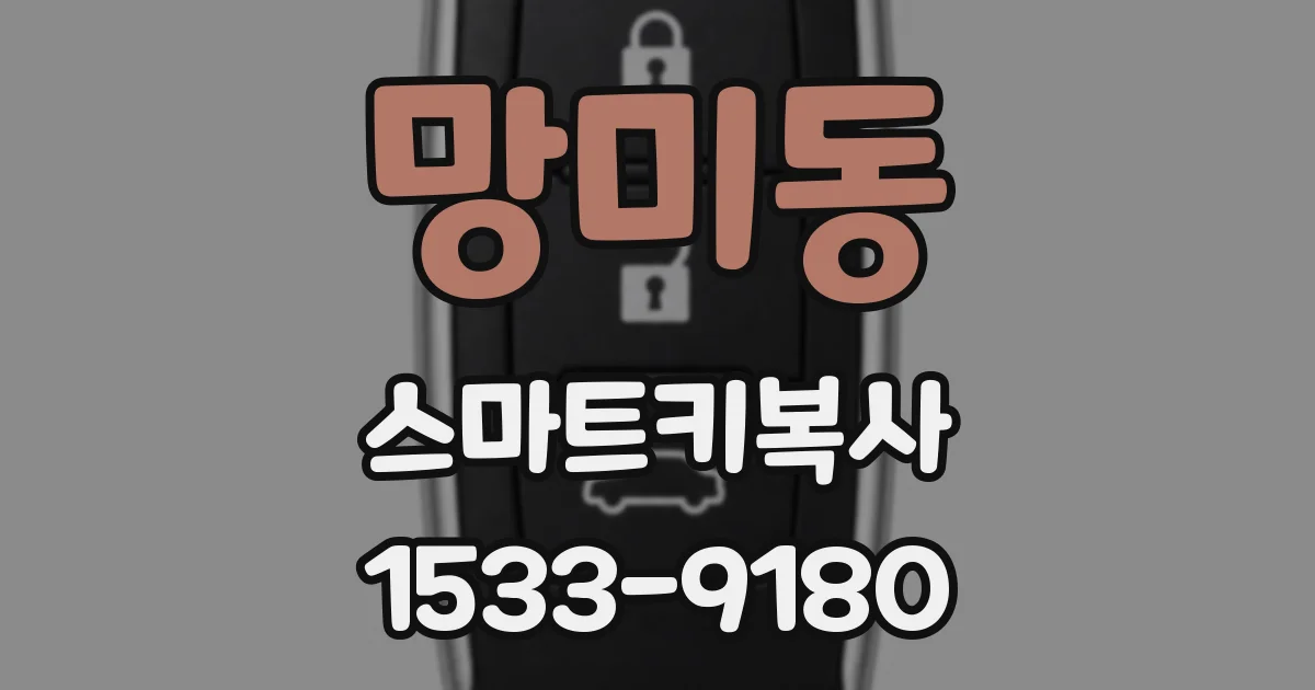 망미동 스마트키복사