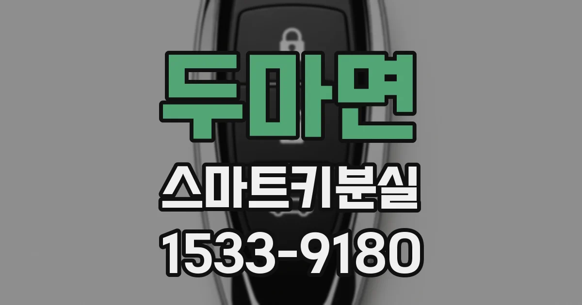 두마면 스마트키분실