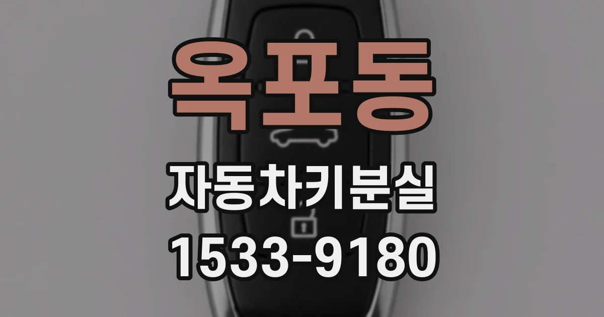 옥포동 자동차키분실