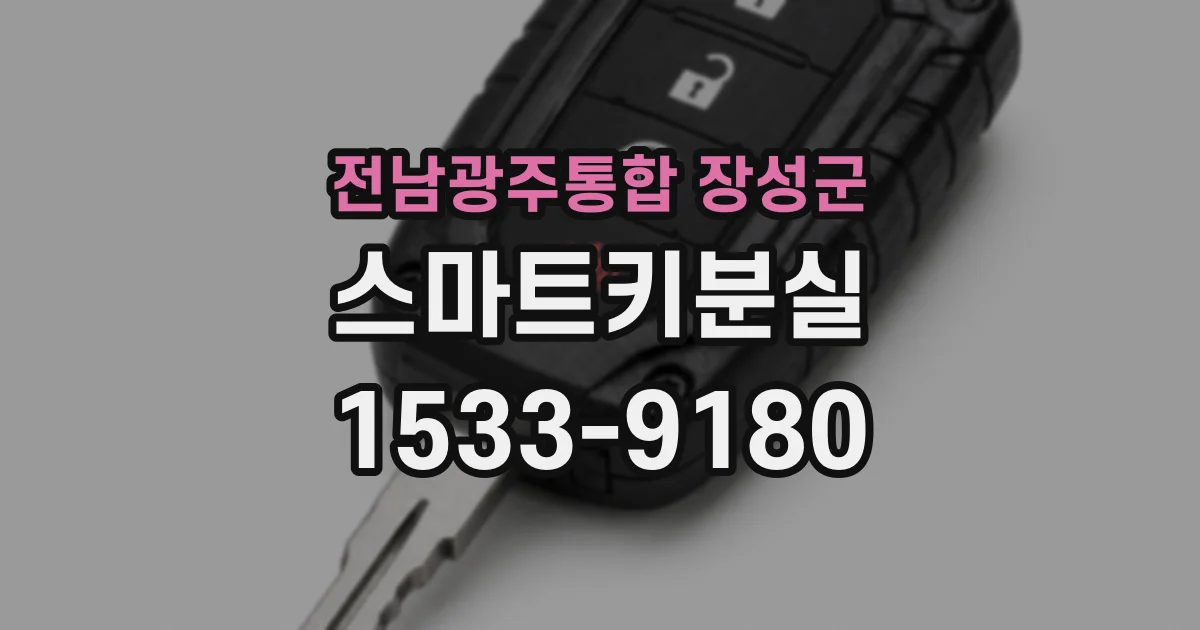 전남광주통합 장성군 스마트키분실