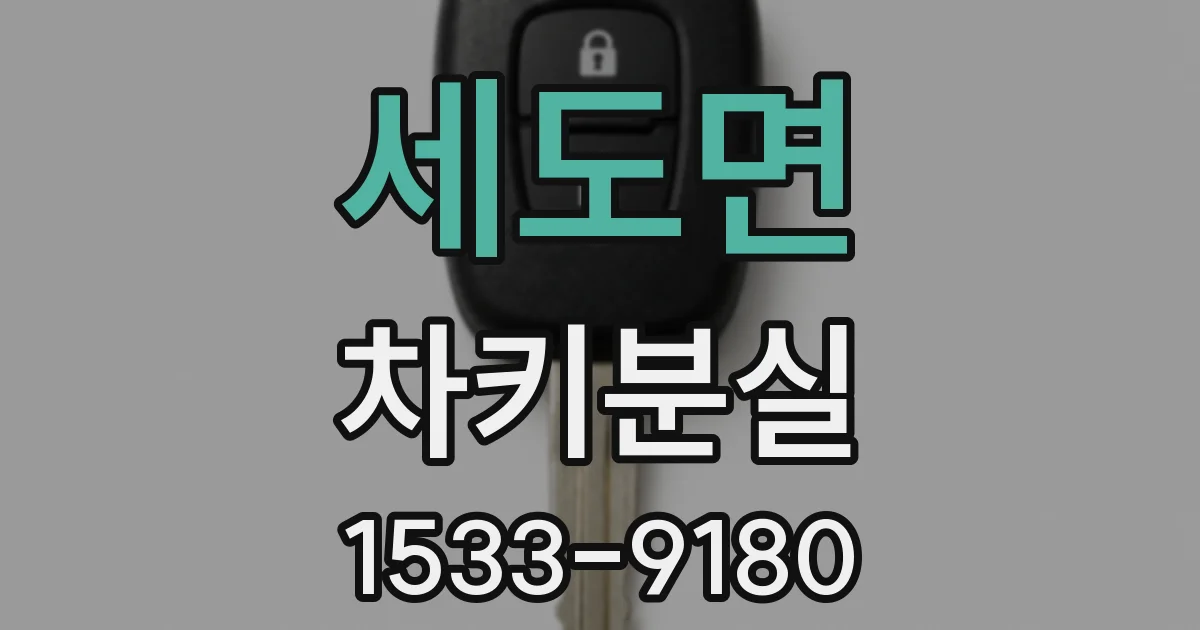 세도면 차키분실