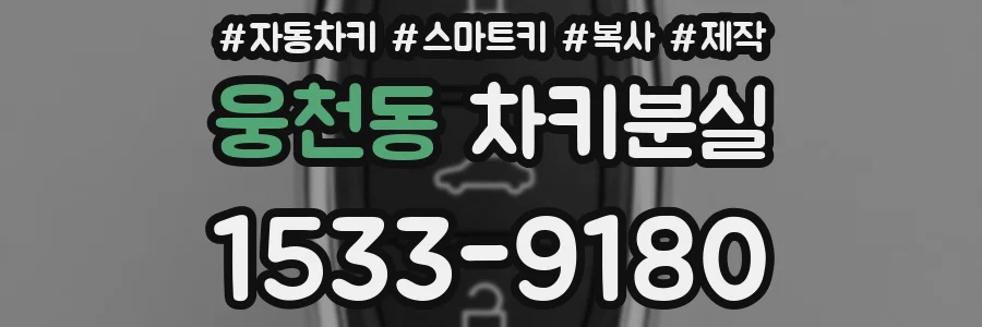 웅천동 차키분실