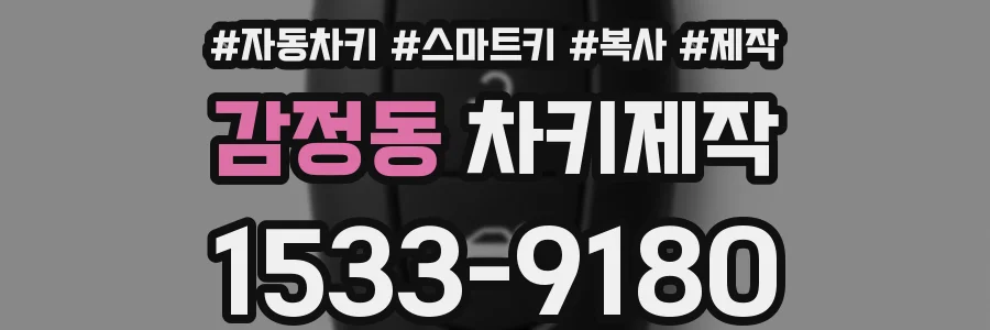 감정동 차키제작
