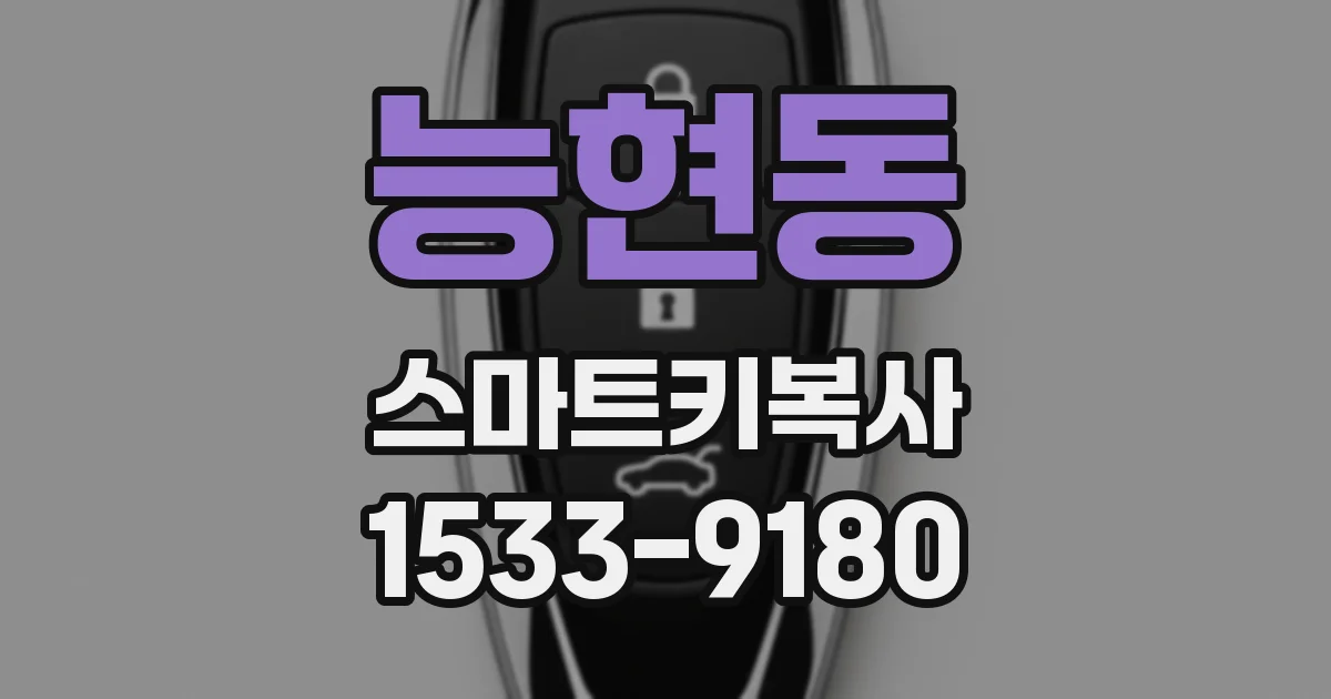 능현동 스마트키복사