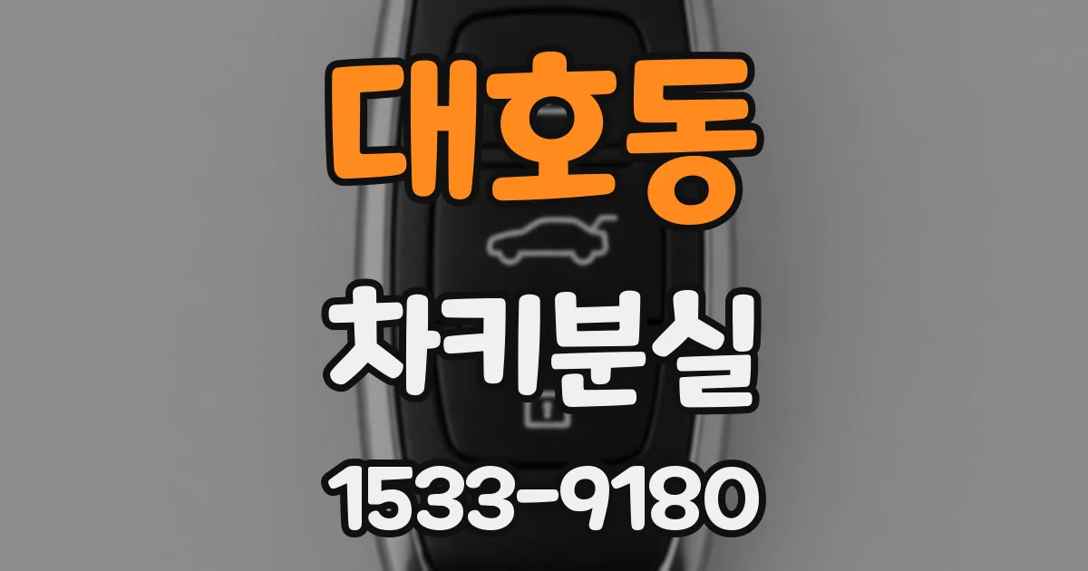 대호동 차키분실