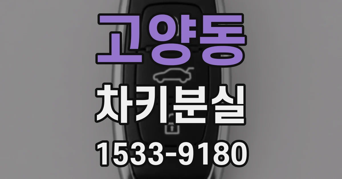 고양동 차키분실