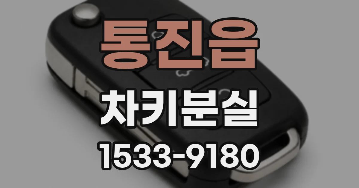 통진읍 차키분실