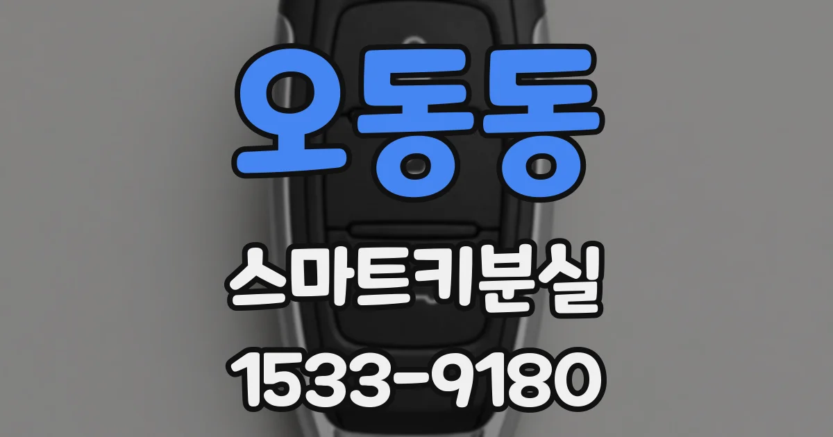 오동동 스마트키분실
