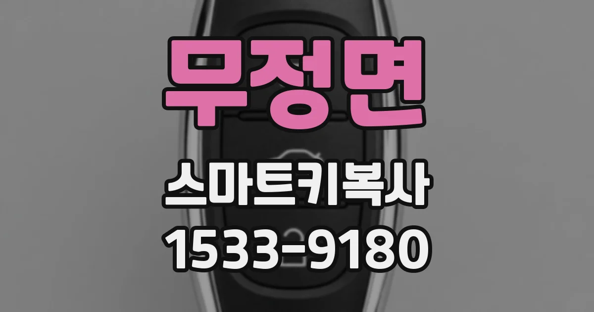 무정면 스마트키복사