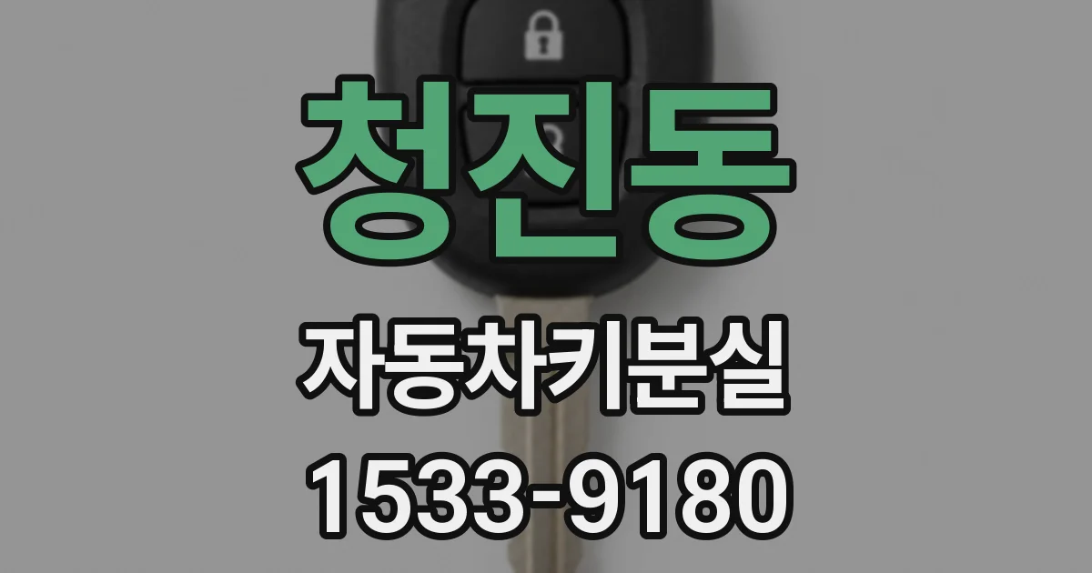청진동 자동차키분실