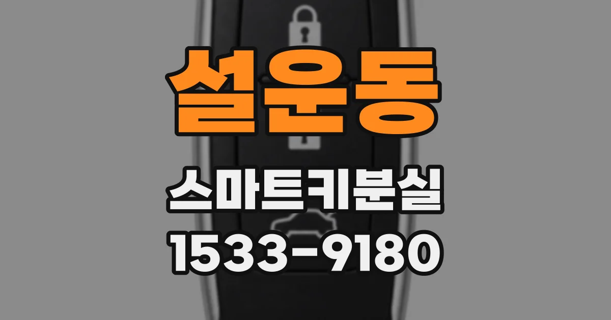 설운동 스마트키분실