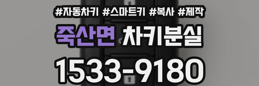 죽산면 차키분실