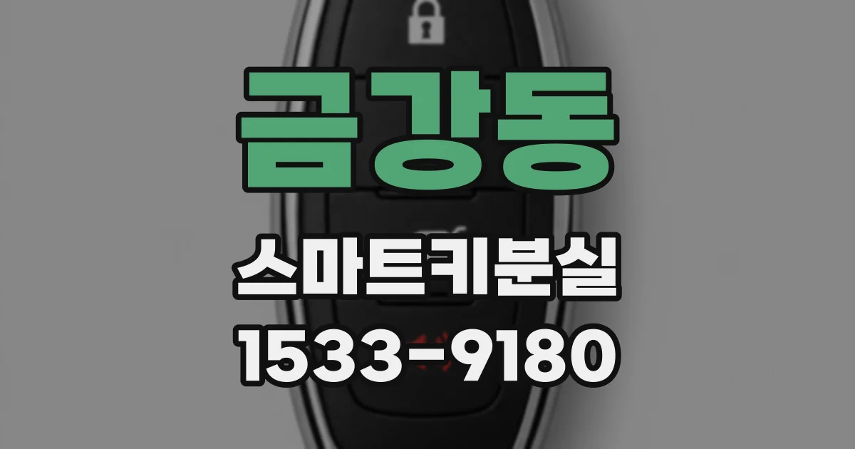 금강동 스마트키분실