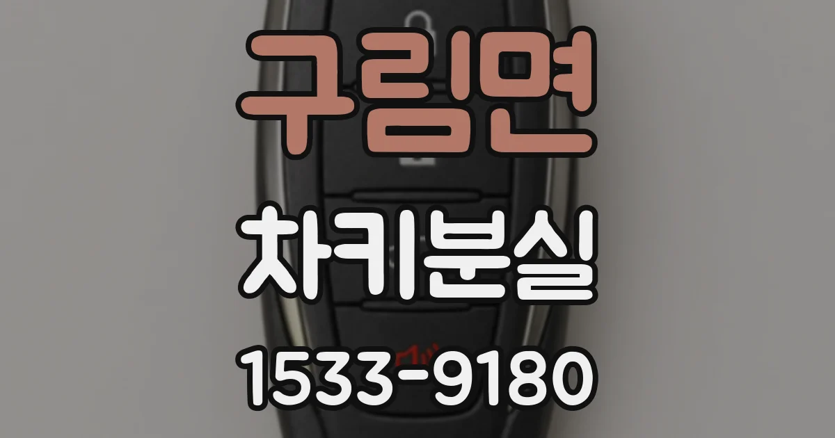 구림면 차키분실