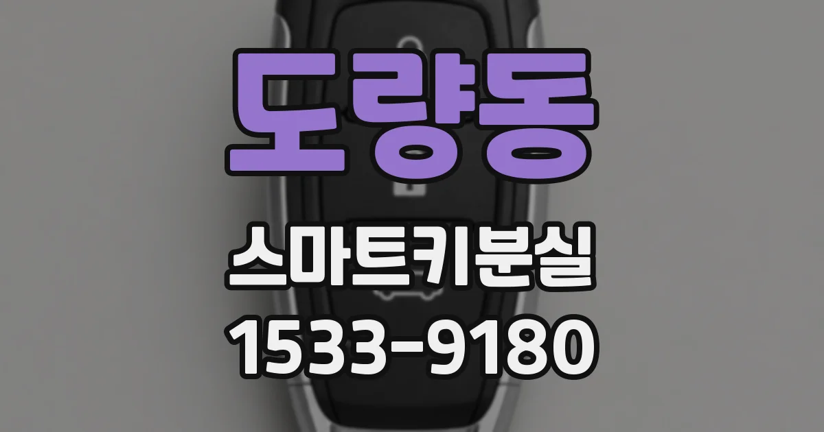 도량동 스마트키분실