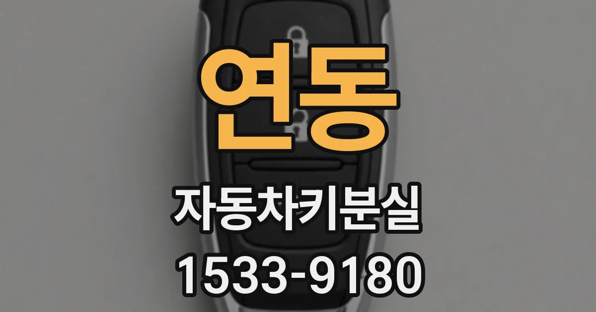 연동 자동차키분실