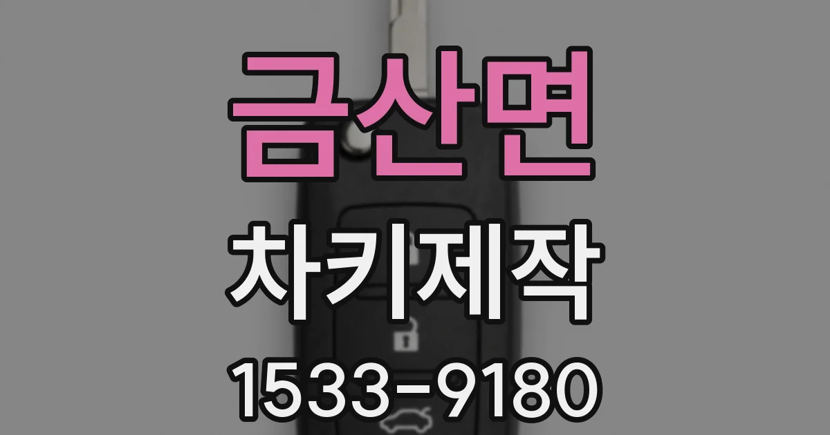 금산면 차키제작