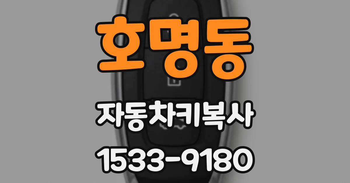 호명동 자동차키복사