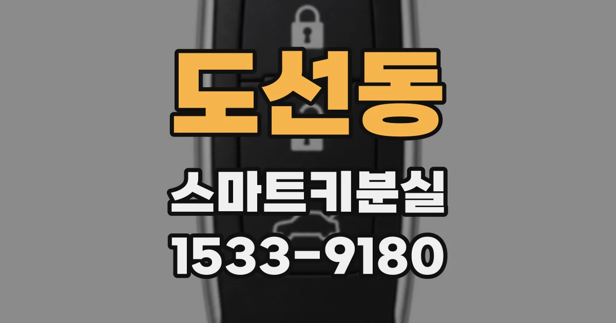 도선동 스마트키분실