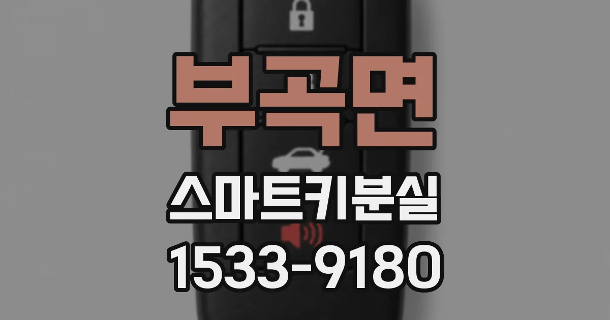 부곡면 스마트키분실