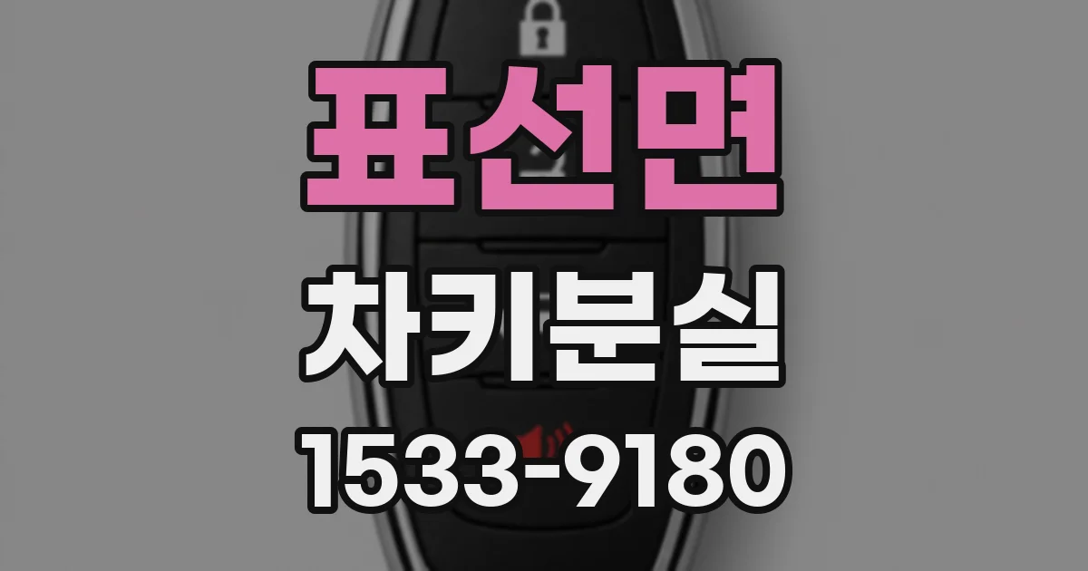 표선면 차키분실