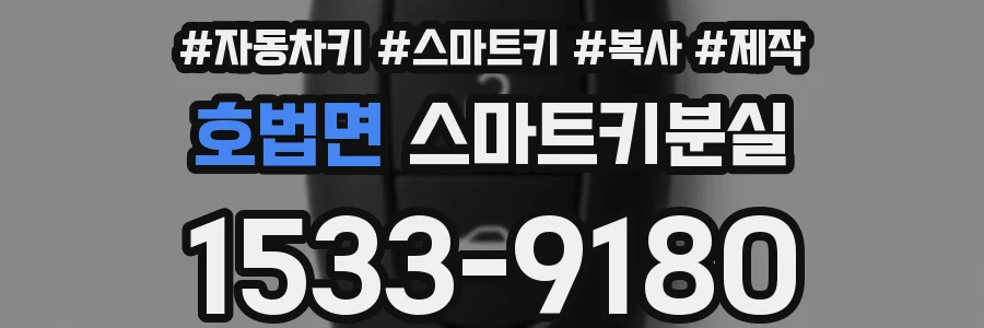호법면 스마트키분실