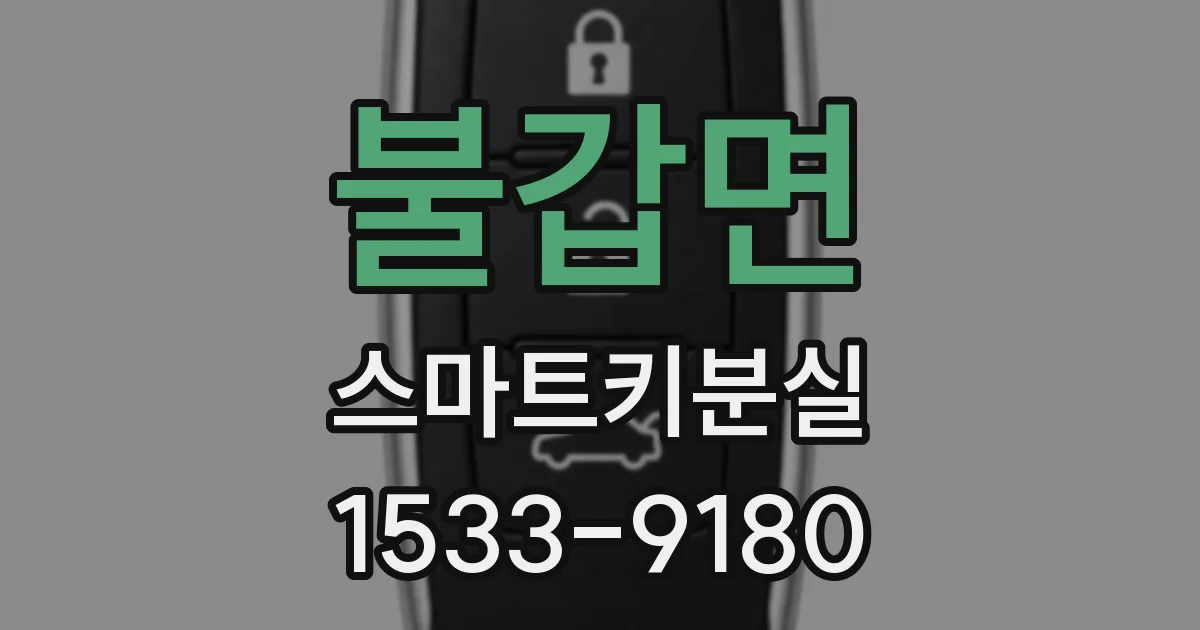 불갑면 스마트키분실