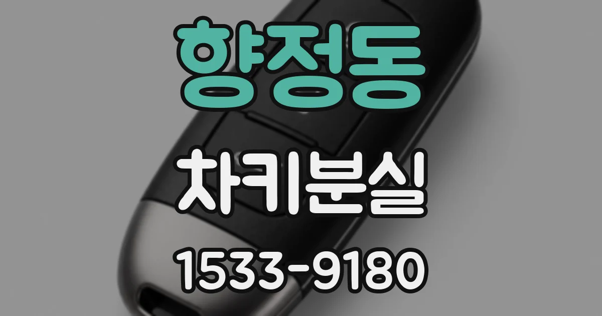 향정동 차키분실
