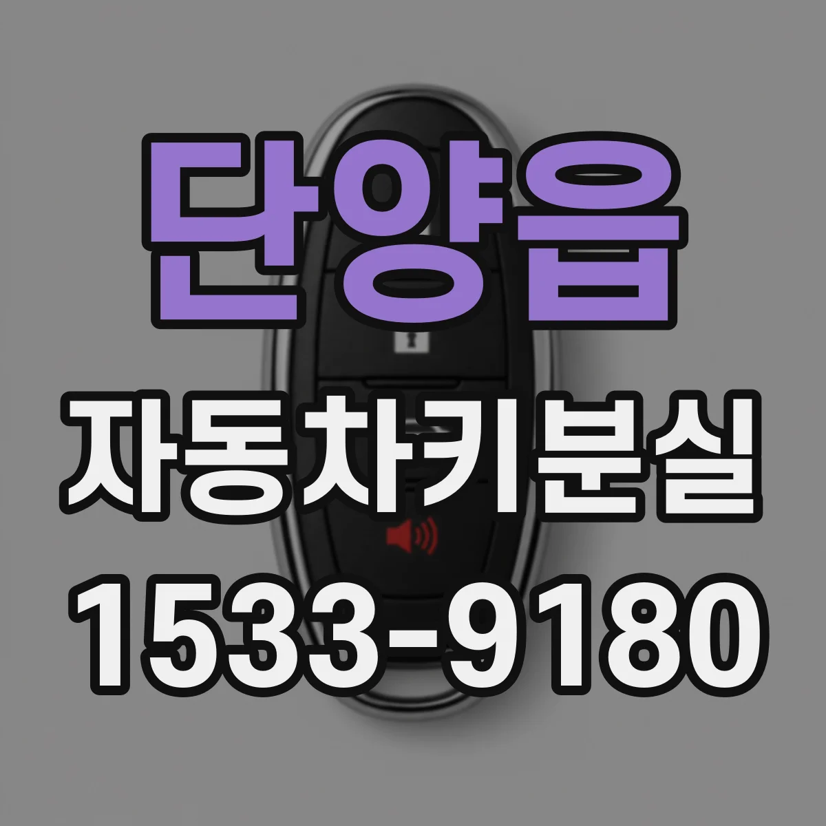 단양읍 자동차키분실