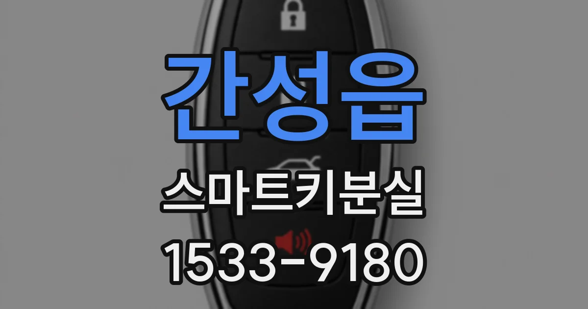 간성읍 스마트키분실