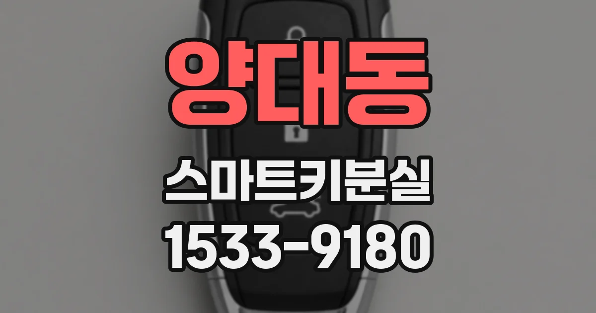 양대동 스마트키분실