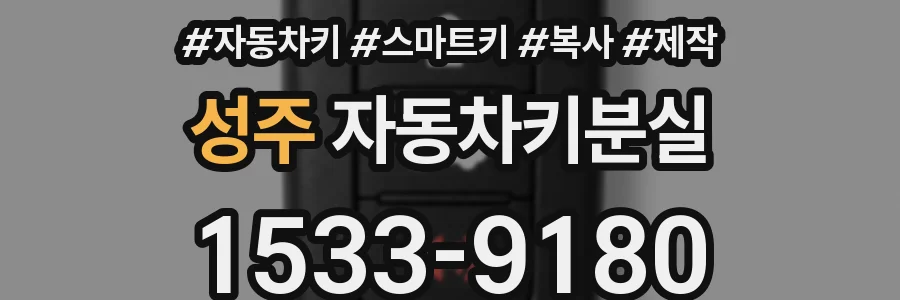 성주 자동차키분실