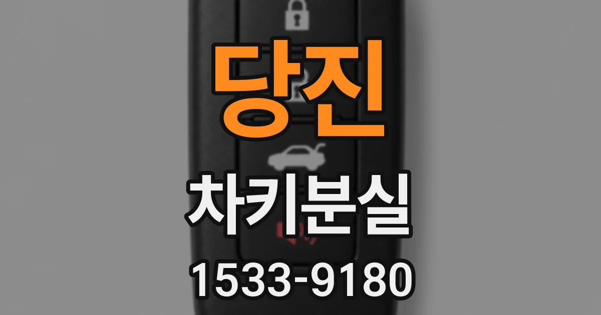 당진 차키분실