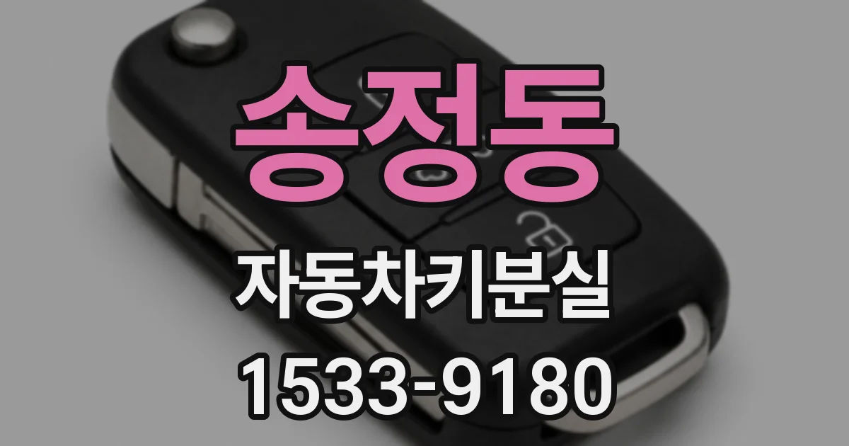 송정동 자동차키분실