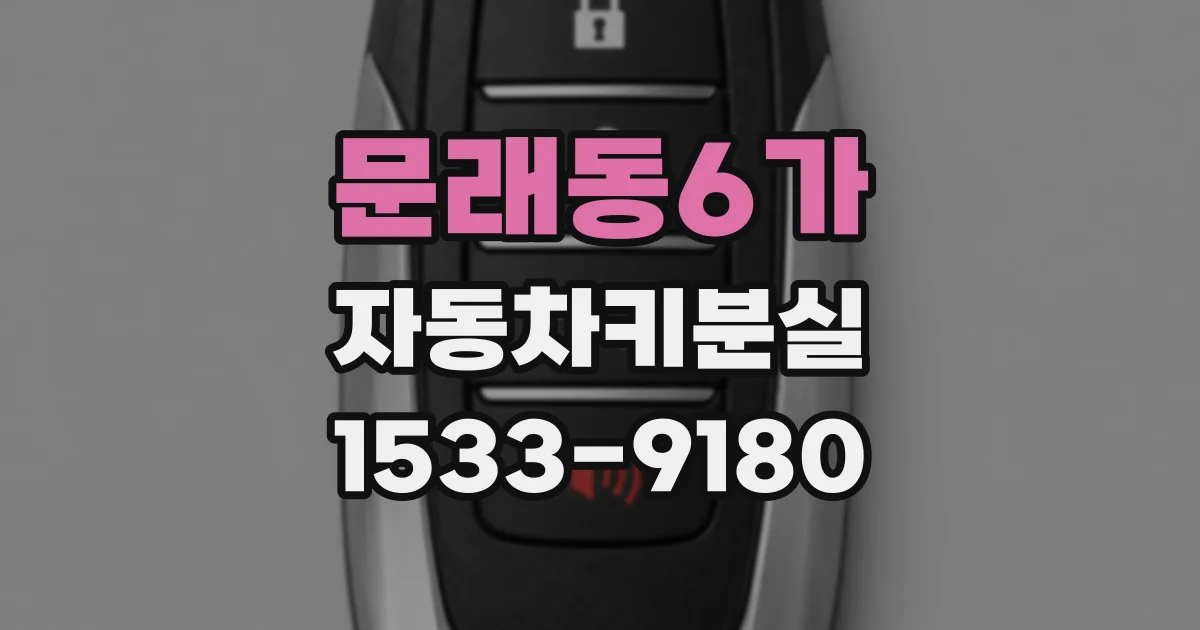 문래동6가 자동차키분실