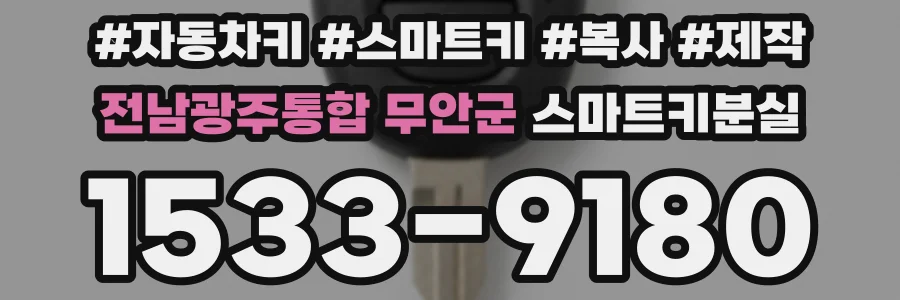 전남광주통합 무안군 스마트키분실
