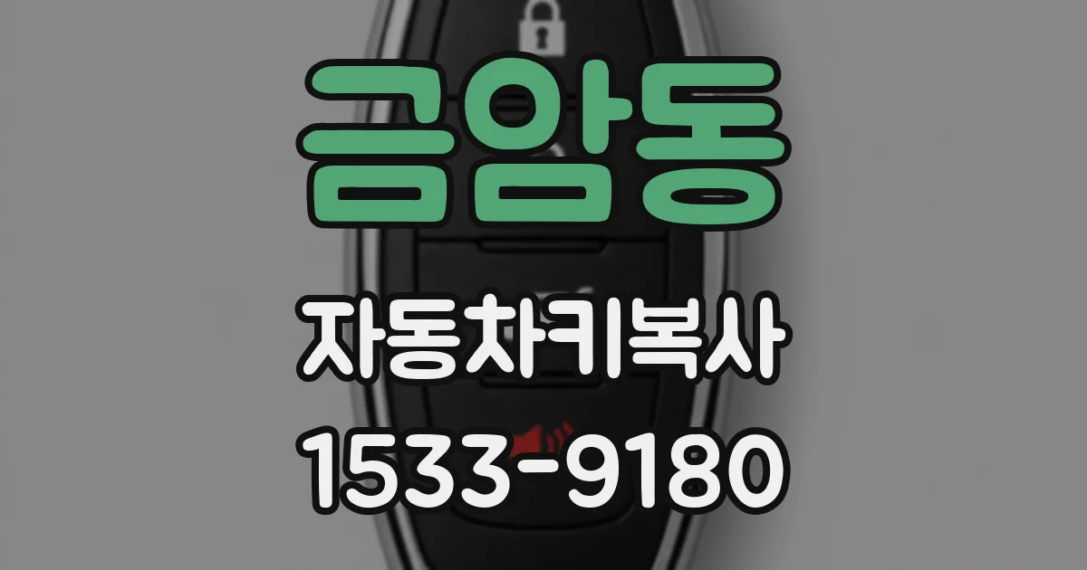 금암동 자동차키복사