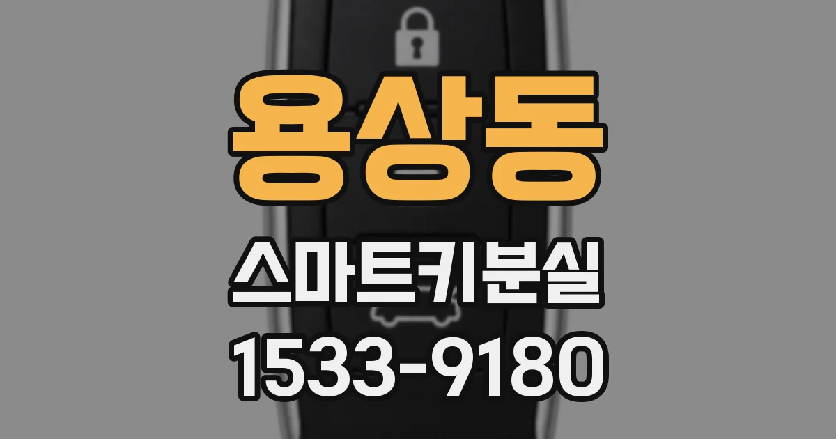 용상동 스마트키분실