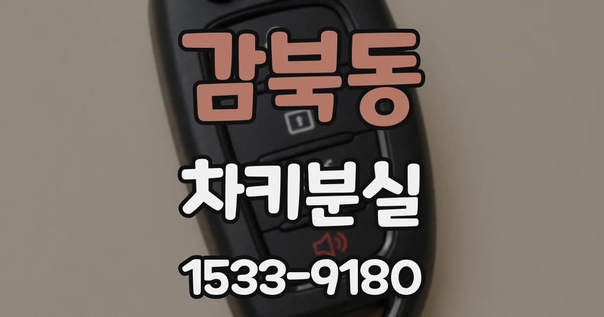 감북동 차키분실