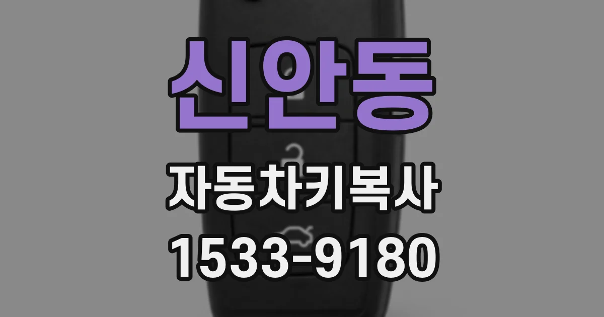 신안동 자동차키복사