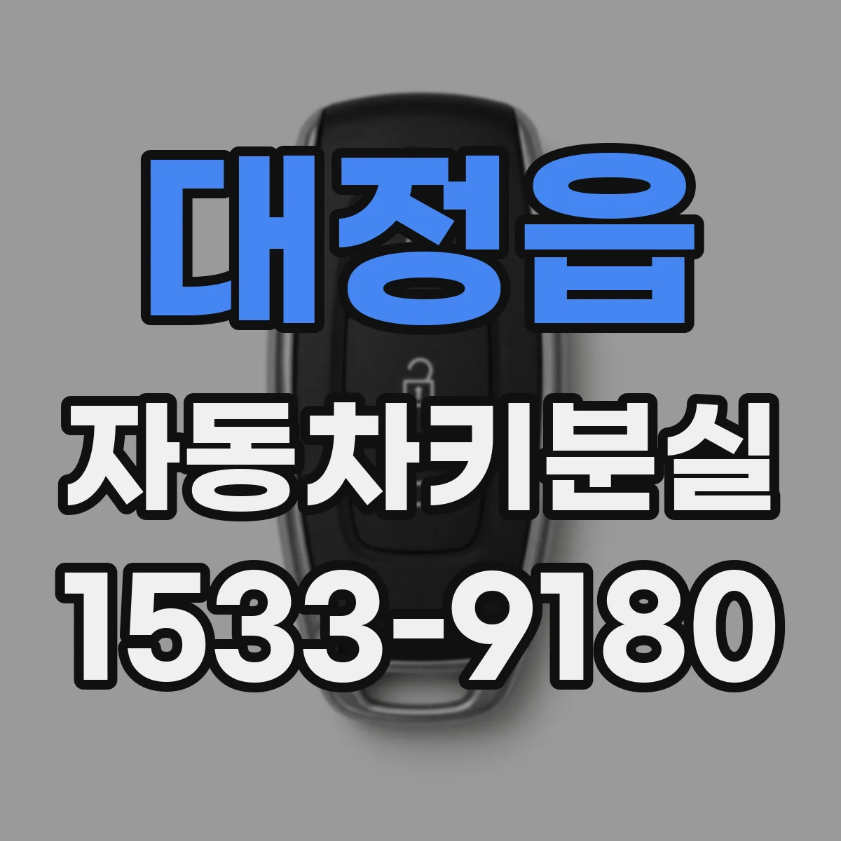 대정읍 자동차키분실