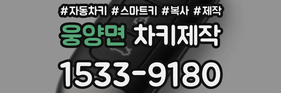 웅양면 차키제작