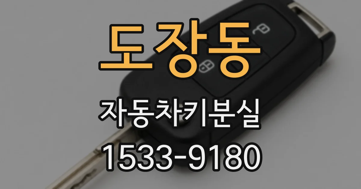 도장동 자동차키분실